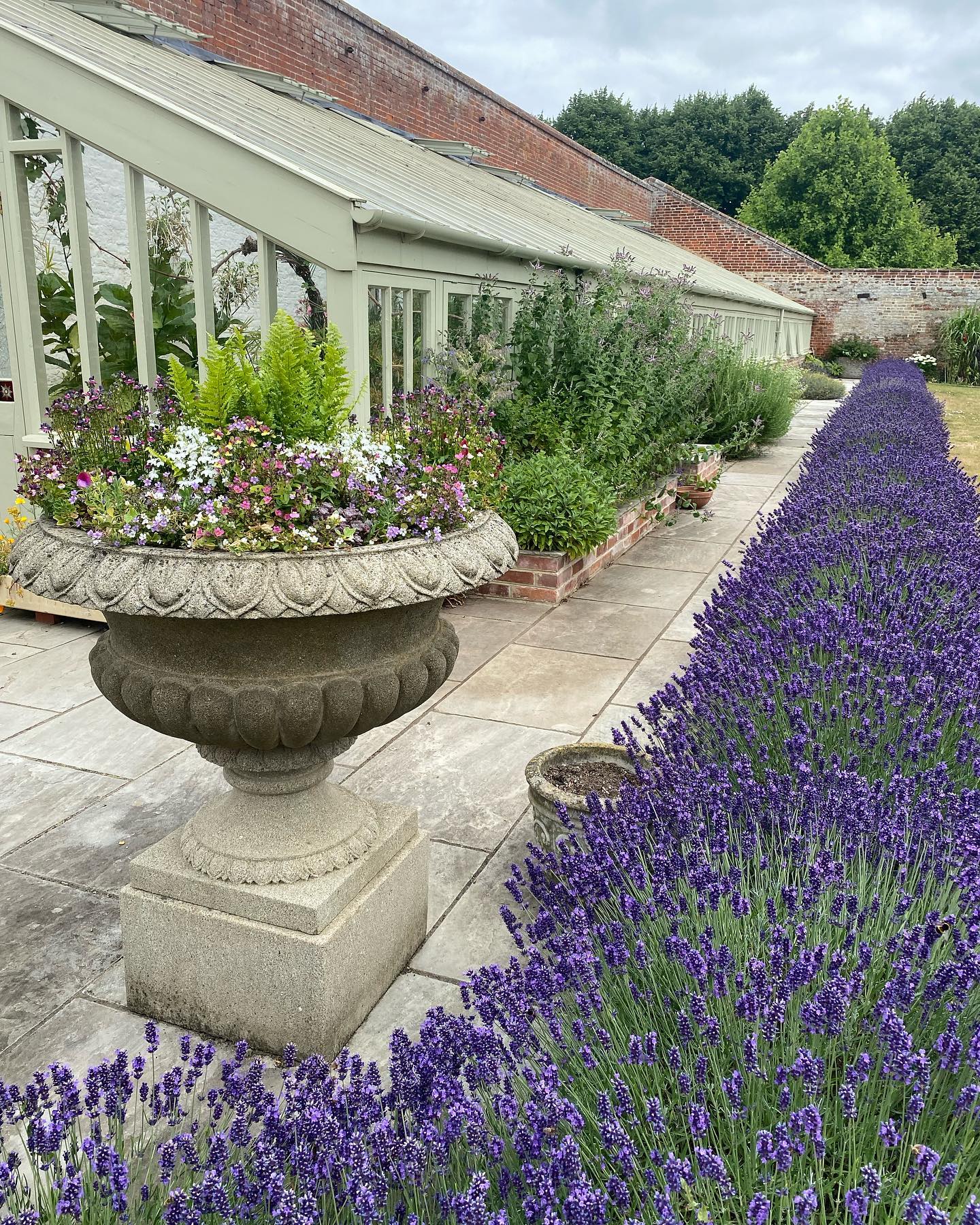 We are opening the gardens to the public on Sunday 17th July. 
There will be a jazz band, Japanese picnic lunch and tea and cakes. 

The details are;  https://fordhamabbey.co.uk/events

#opengardens