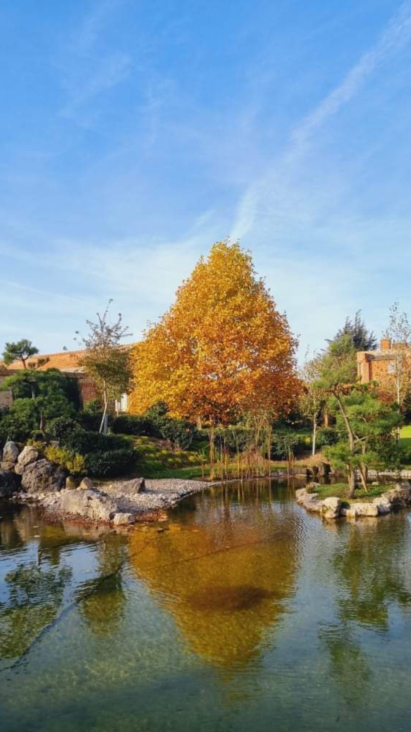 4E822E41-8040-40CF-A3C2-2023F79B7B4B